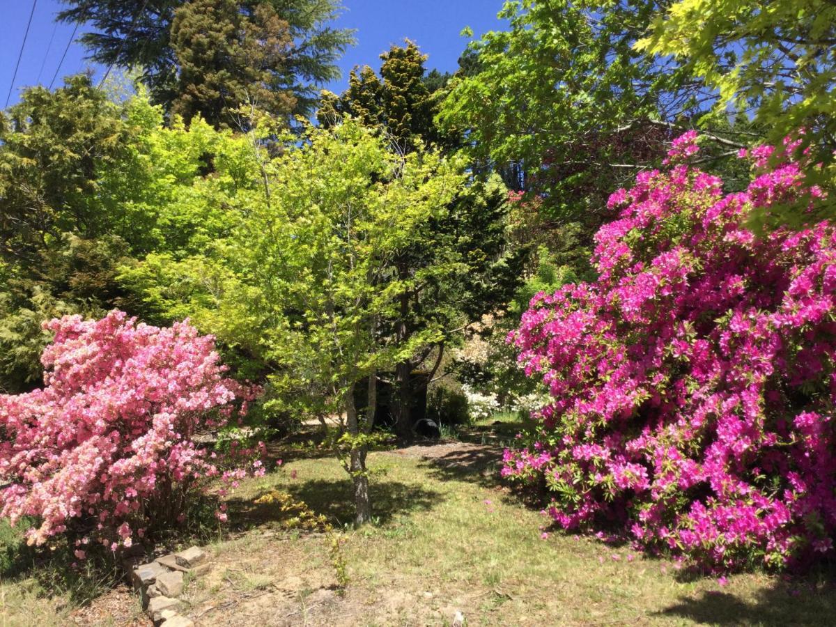 The Wentworth Retreat Villa Wentworth Falls Buitenkant foto
